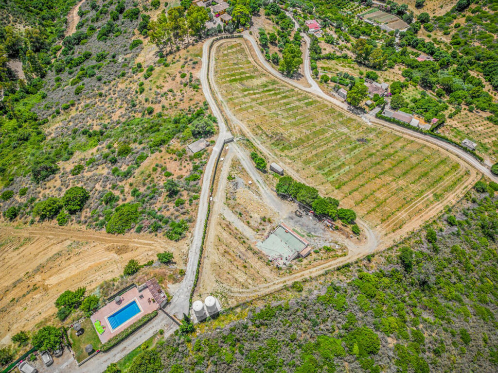 Finca - Cortijo Casares Málaga - image 49