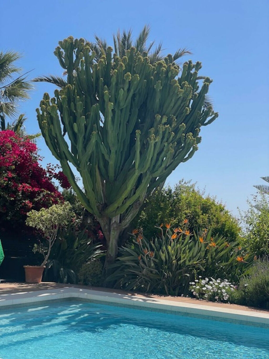 Detached Villa Mijas Málaga - image 43
