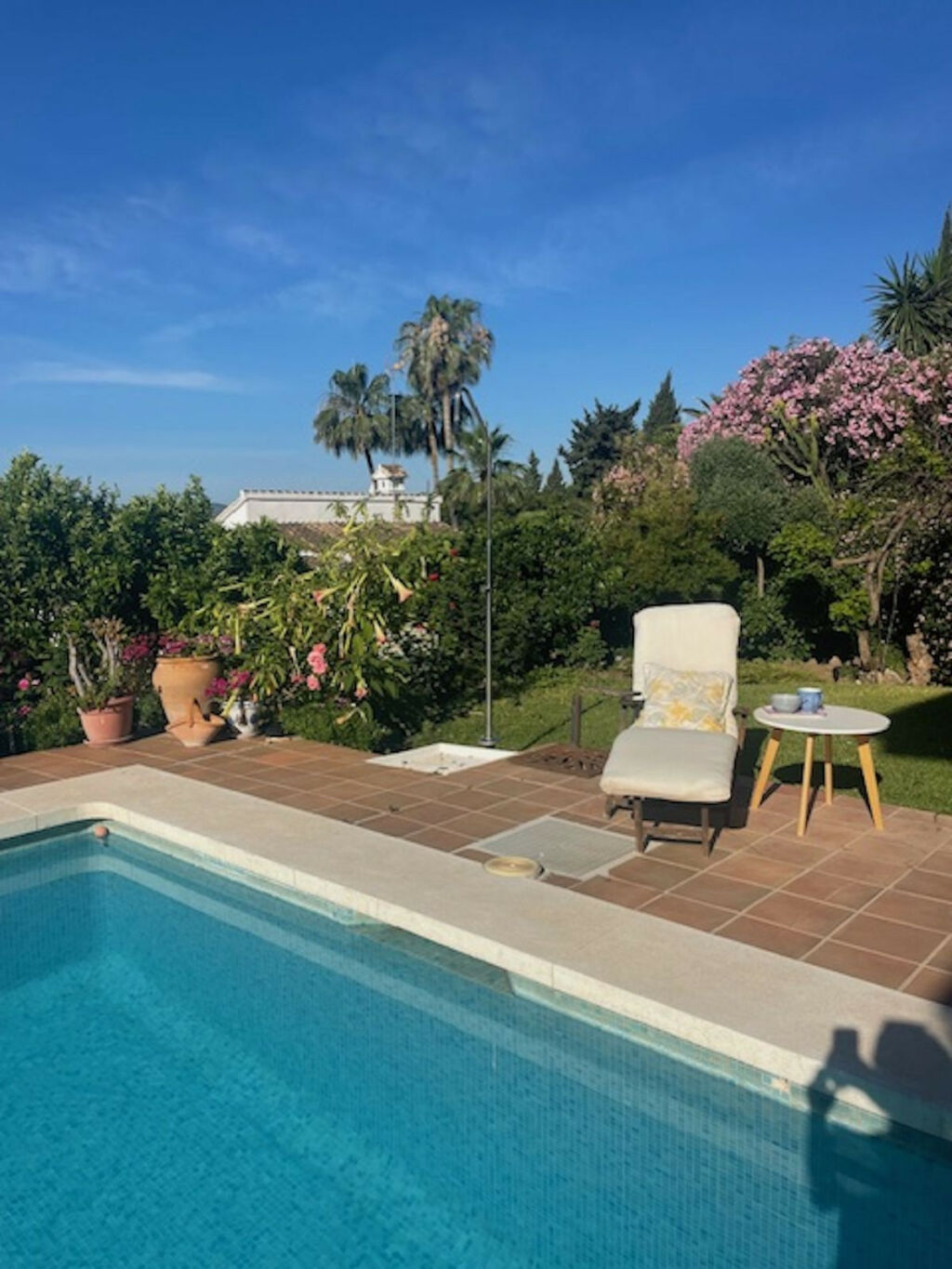 Detached Villa Mijas Málaga - image 44