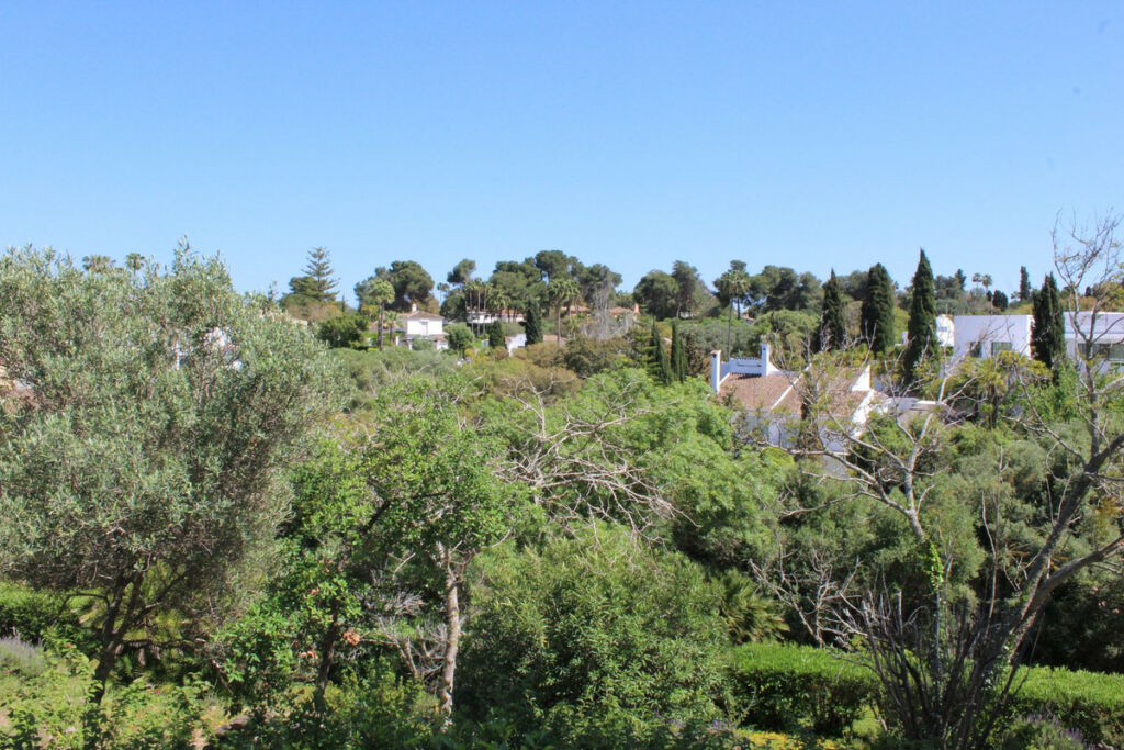 Detached Villa Sotogrande Costa Cádiz