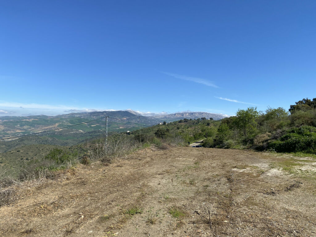 Finca - Cortijo Alora Málaga - image 6