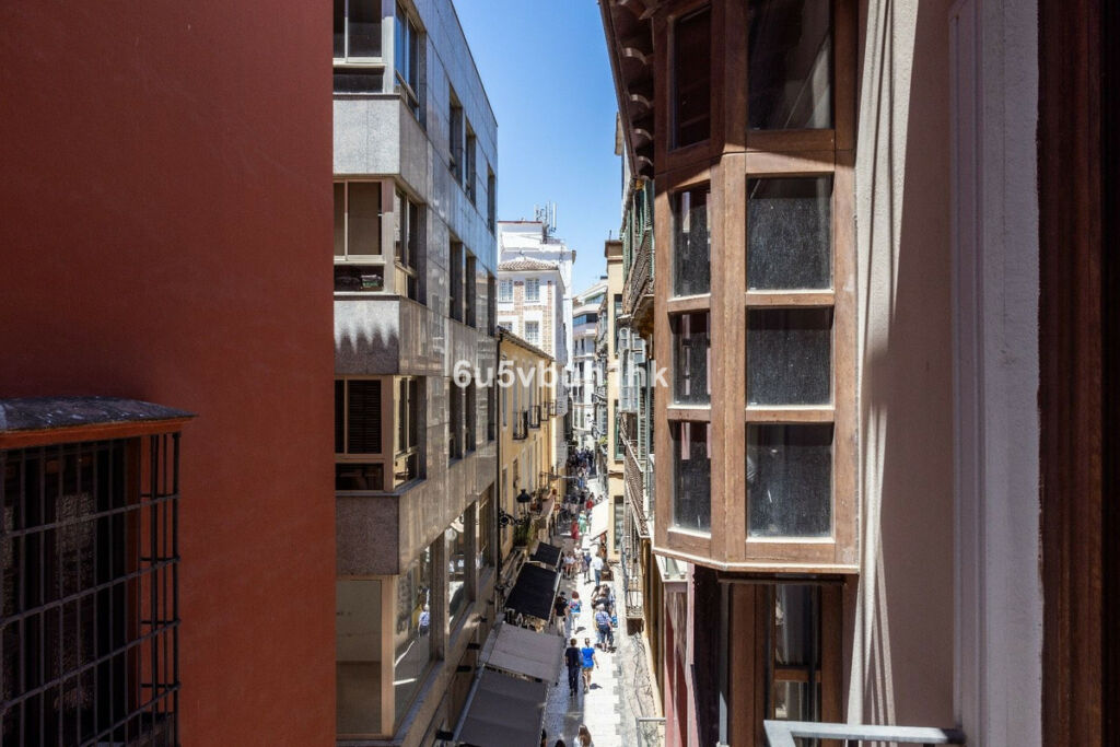 Middle Floor Apartment Málaga Málaga - image 6