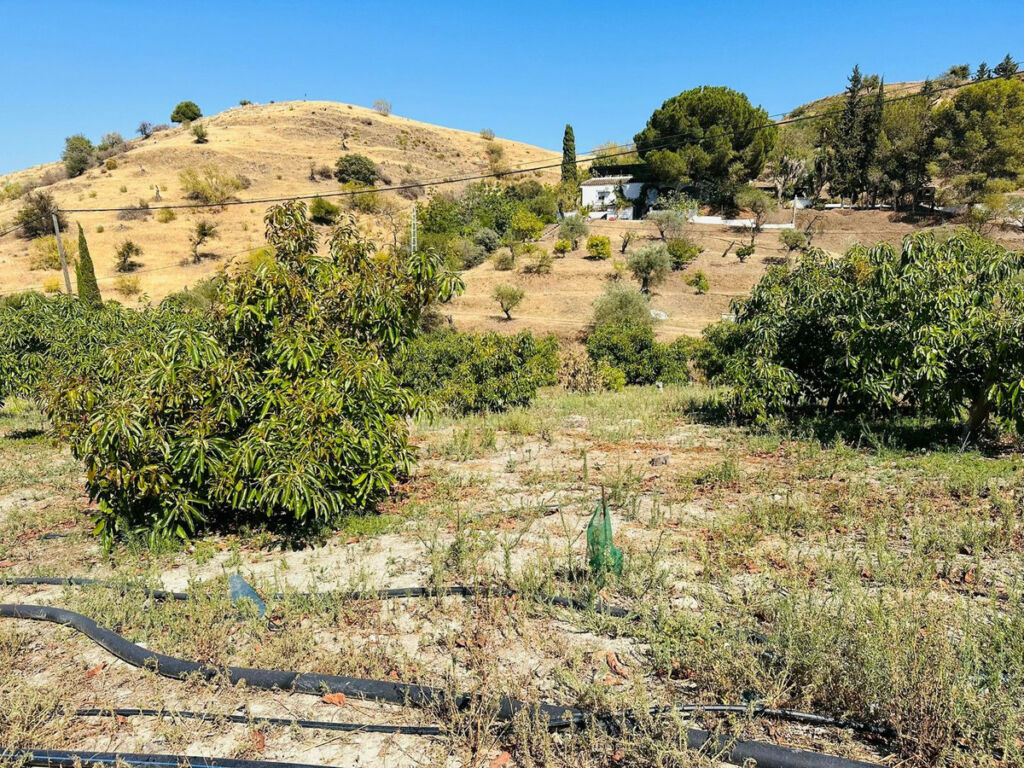 Finca - Cortijo Coín Málaga - image 11