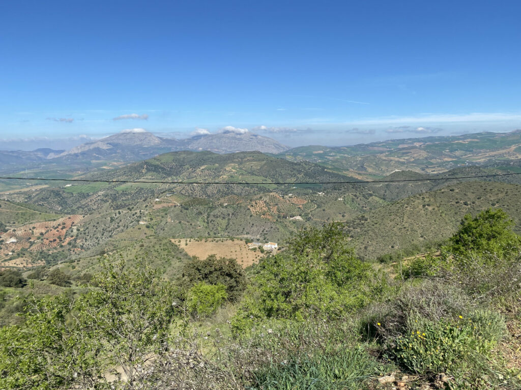 Finca - Cortijo Alora Málaga - image 8