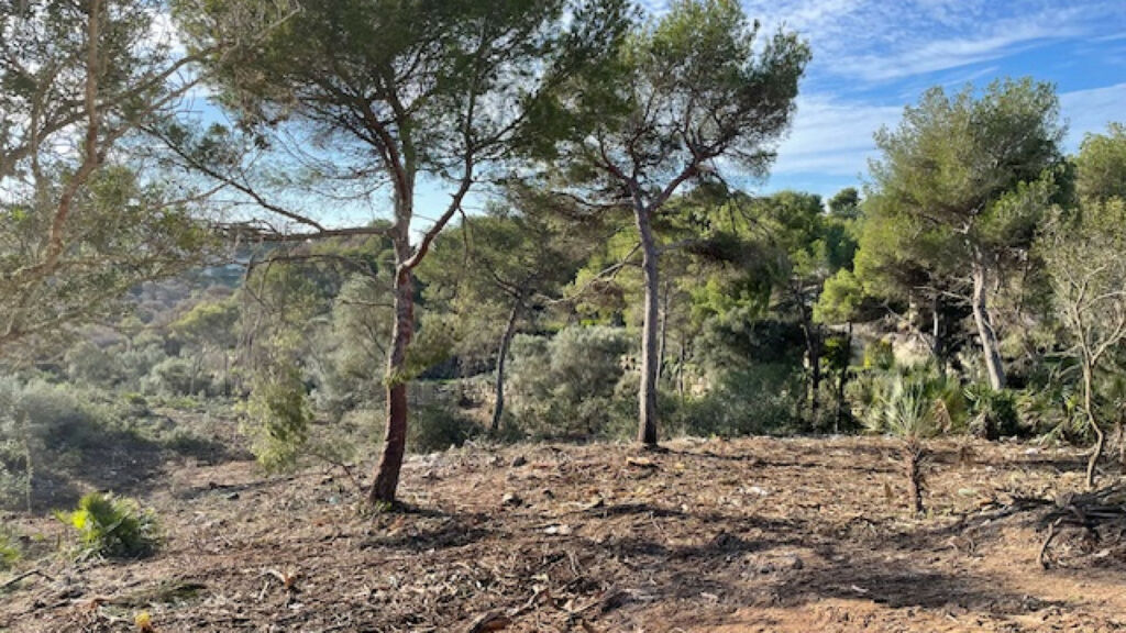 Land Javea Alicante - image 9