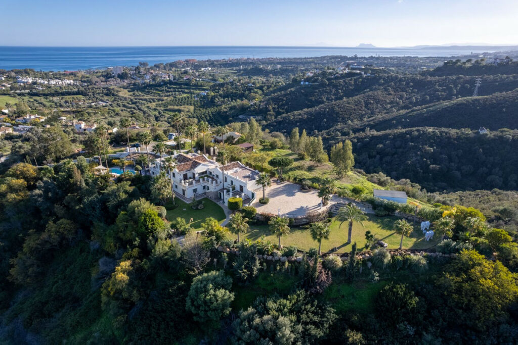 Detached Villa Estepona Málaga - image 3