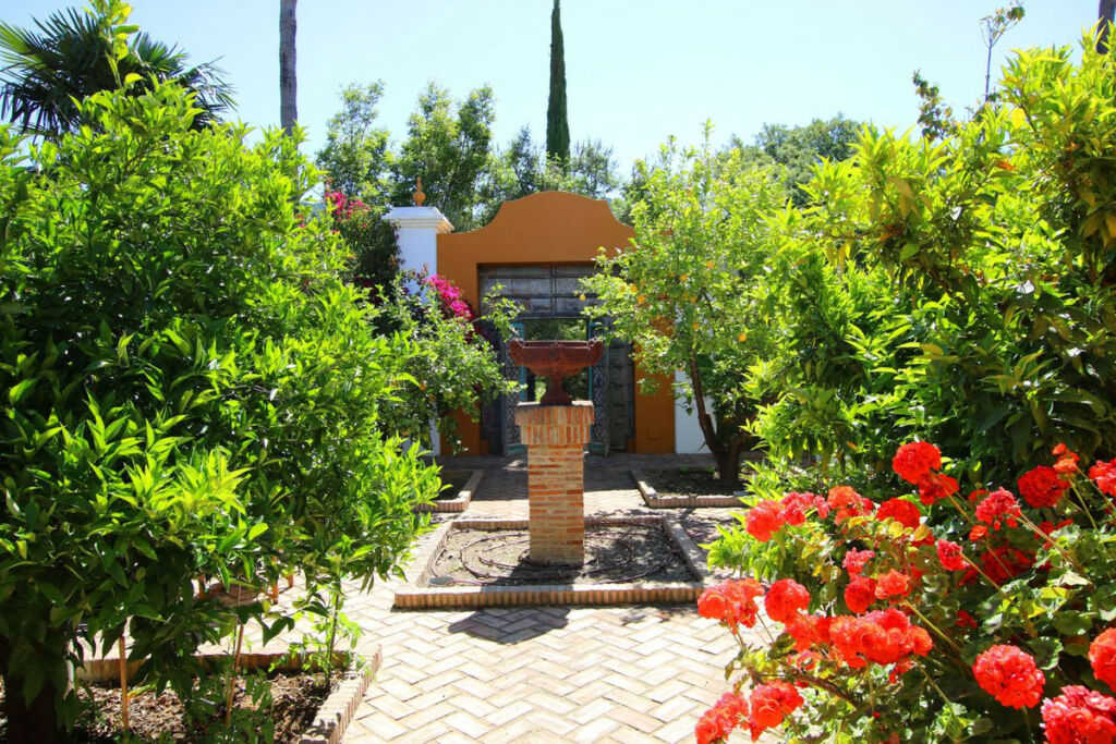 Finca - Cortijo Gaucín Málaga
