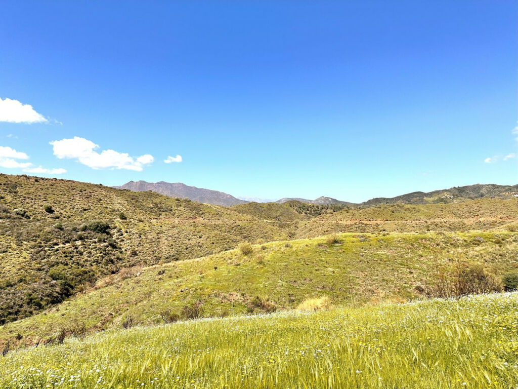 Land Valtocado Málaga - image 2