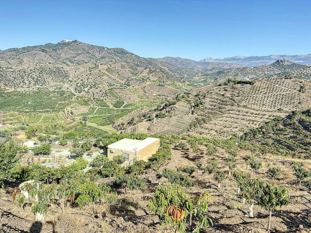 Finca - Cortijo Benamargosa Málaga - image 2