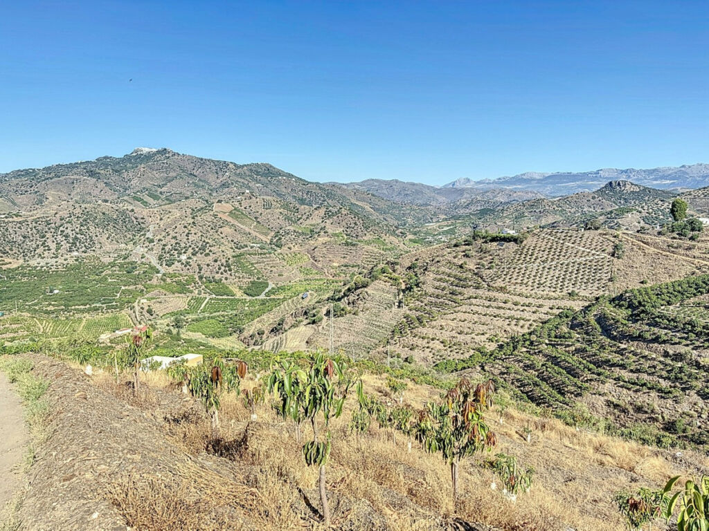 Finca - Cortijo Benamargosa Málaga - image 11