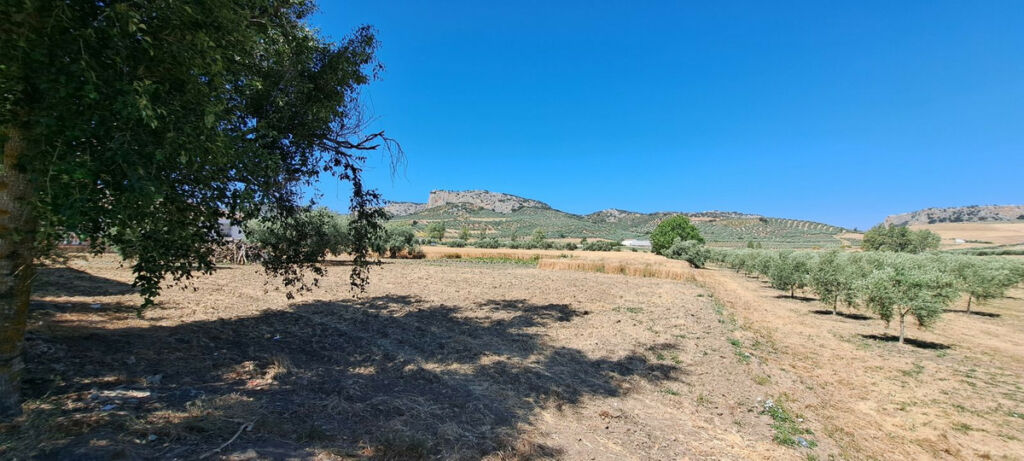 Residential Plot Cuevas del Becerro Málaga - image 13