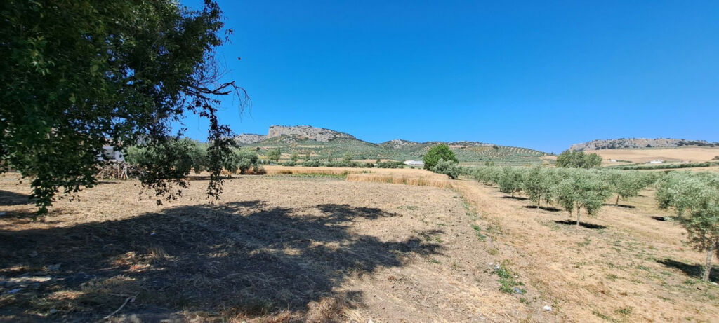 Residential Plot Cuevas del Becerro Málaga - image 14