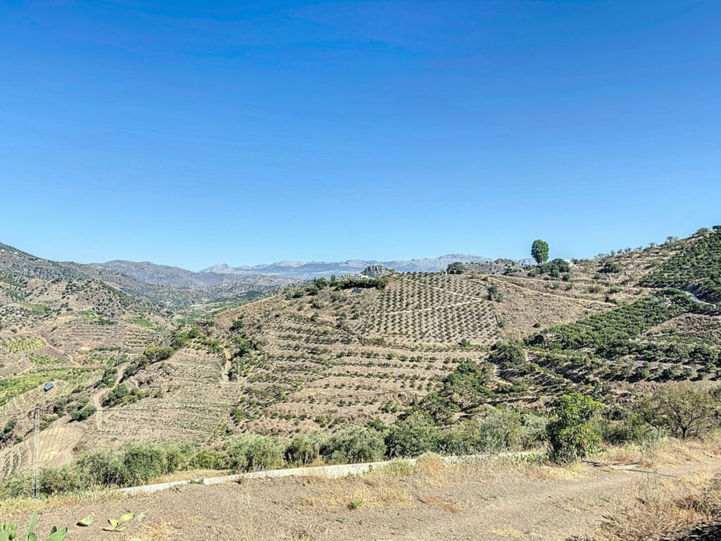 Finca - Cortijo Benamargosa Málaga - image 12