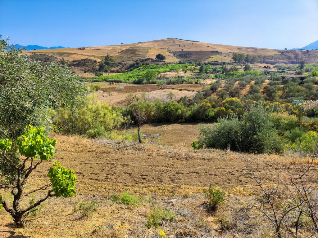 Land Coín Málaga - image 13