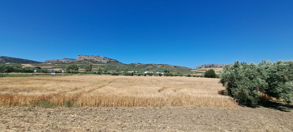 Residential Plot Cuevas del Becerro Málaga - image 16