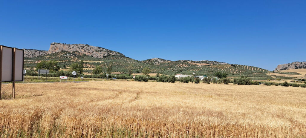 Residential Plot Cuevas del Becerro Málaga - image 19