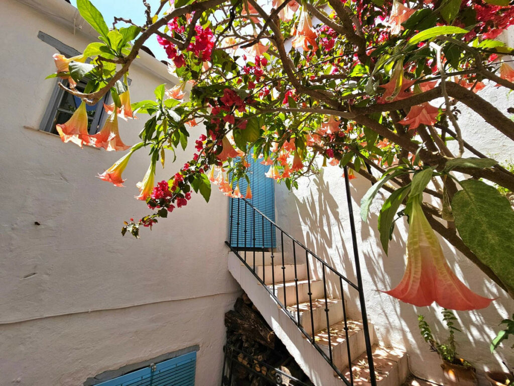Townhouse Gaucín Málaga - image 36