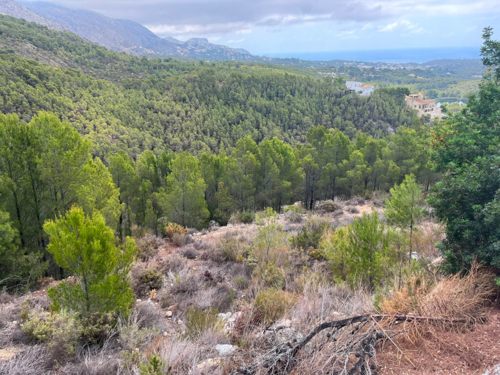 Land Altea Alicante - image 17