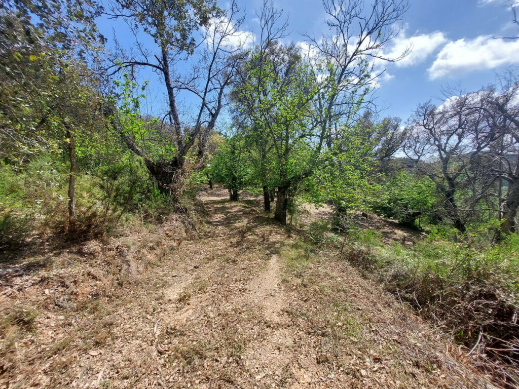 Land Gaucín Málaga - image 18