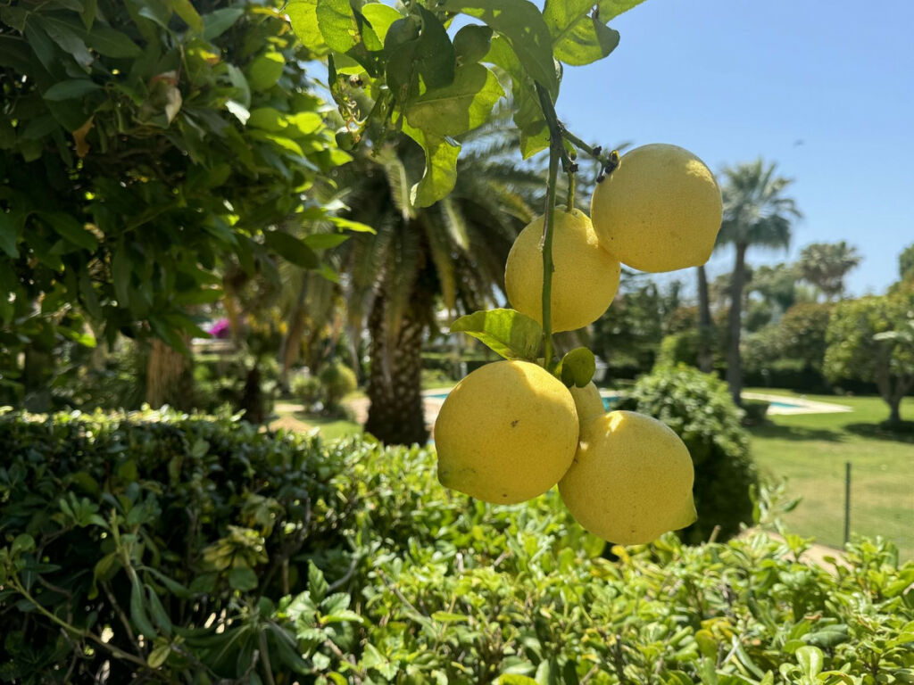 Townhouse Bahía de Marbella Málaga - image 19