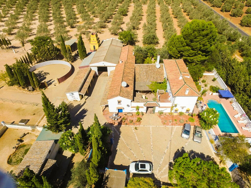 Finca - Cortijo Antequera Málaga - image 2