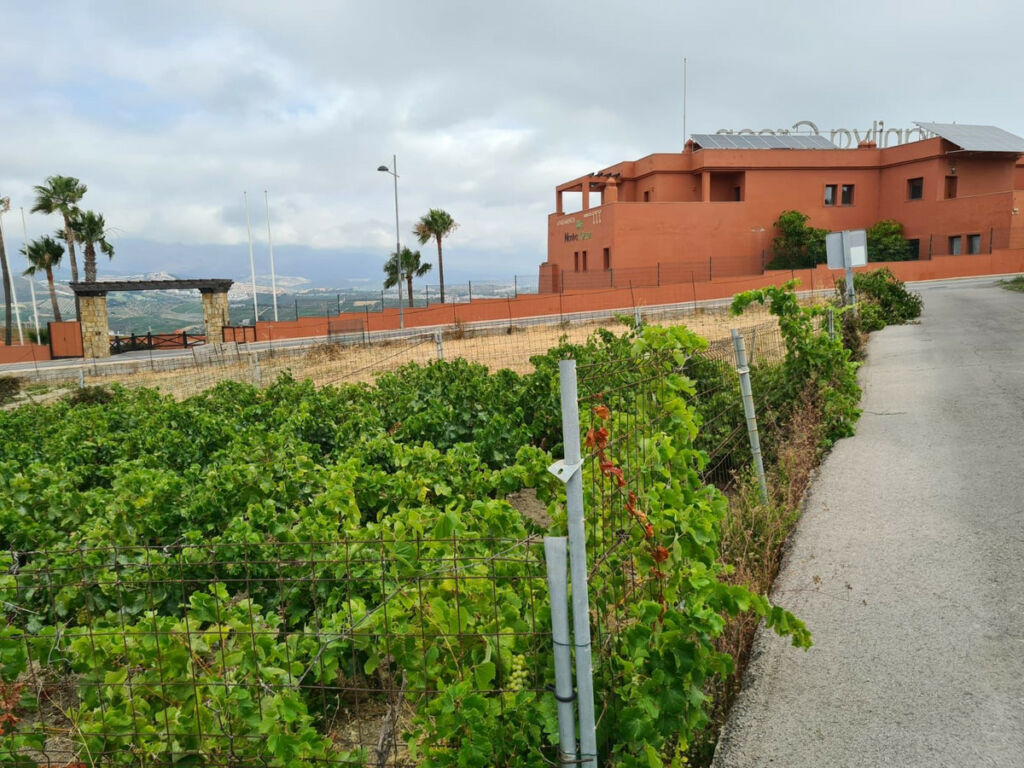 Residential Plot Manilva Málaga - image 5