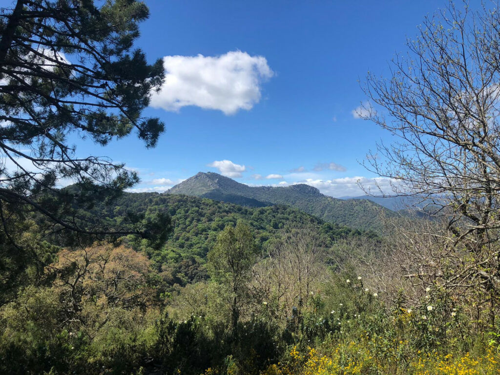 Land Gaucín Málaga - image 2