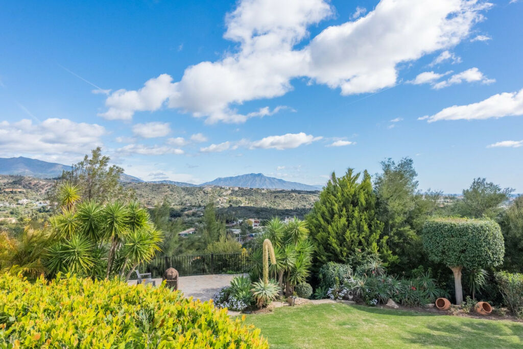 Detached Villa Estepona Málaga - image 20