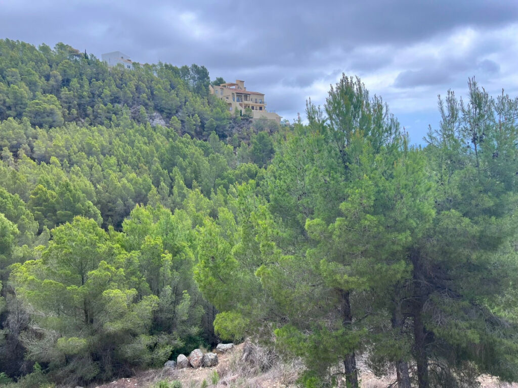 Land Altea Alicante - image 20