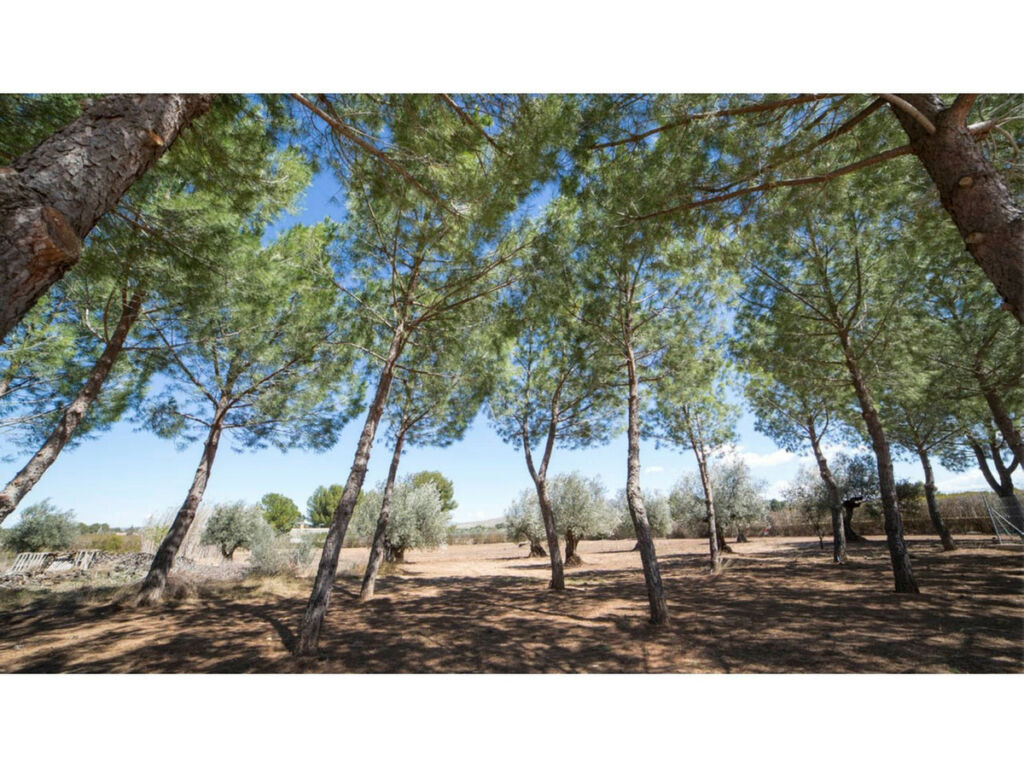 Detached Villa Yecla Murcia - image 20
