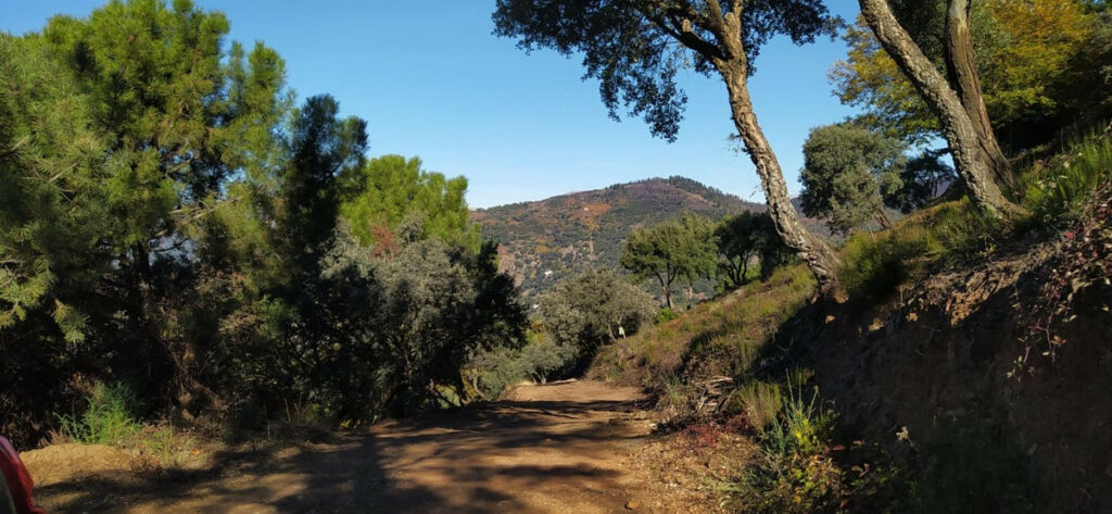 Finca - Cortijo Jubrique Málaga - image 6