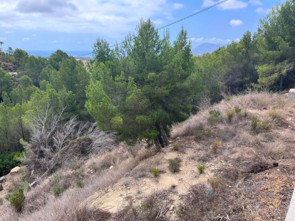 Land Altea Alicante - image 22