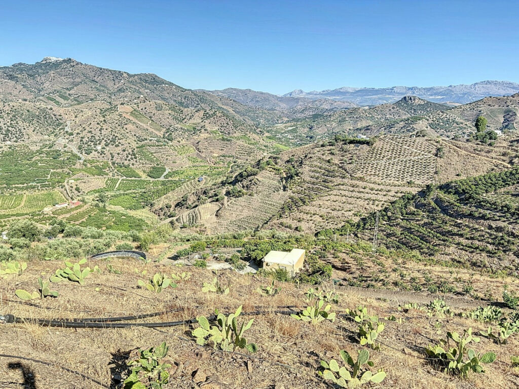 Finca - Cortijo Benamargosa Málaga - image 24