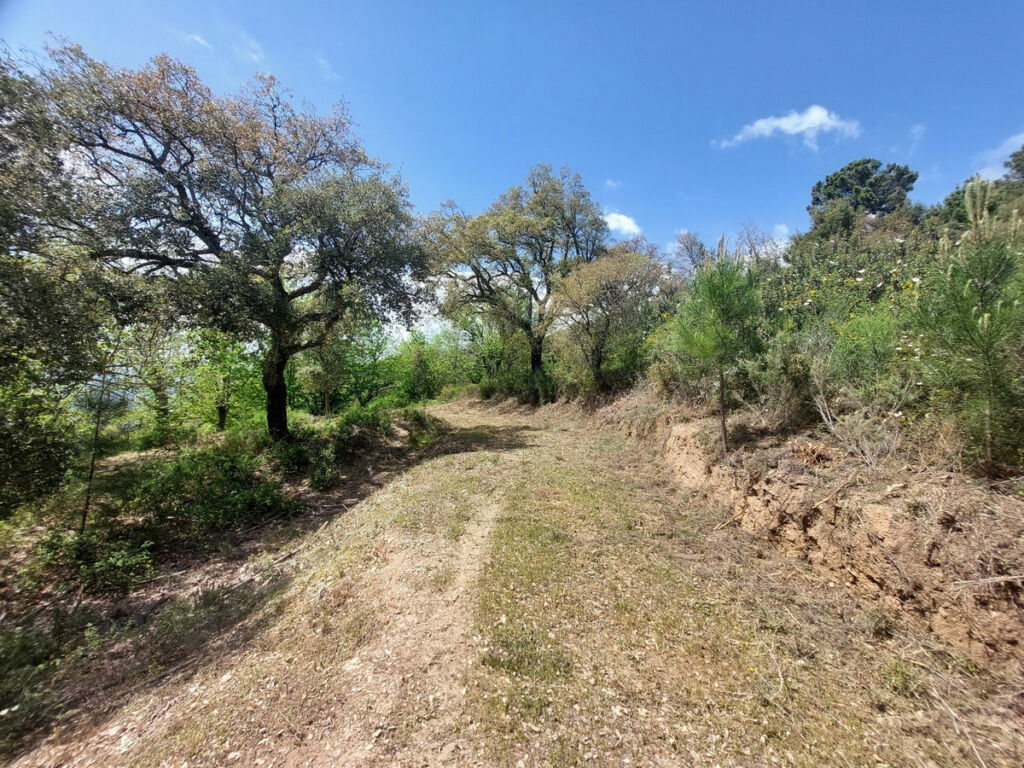 Land Gaucín Málaga - image 24