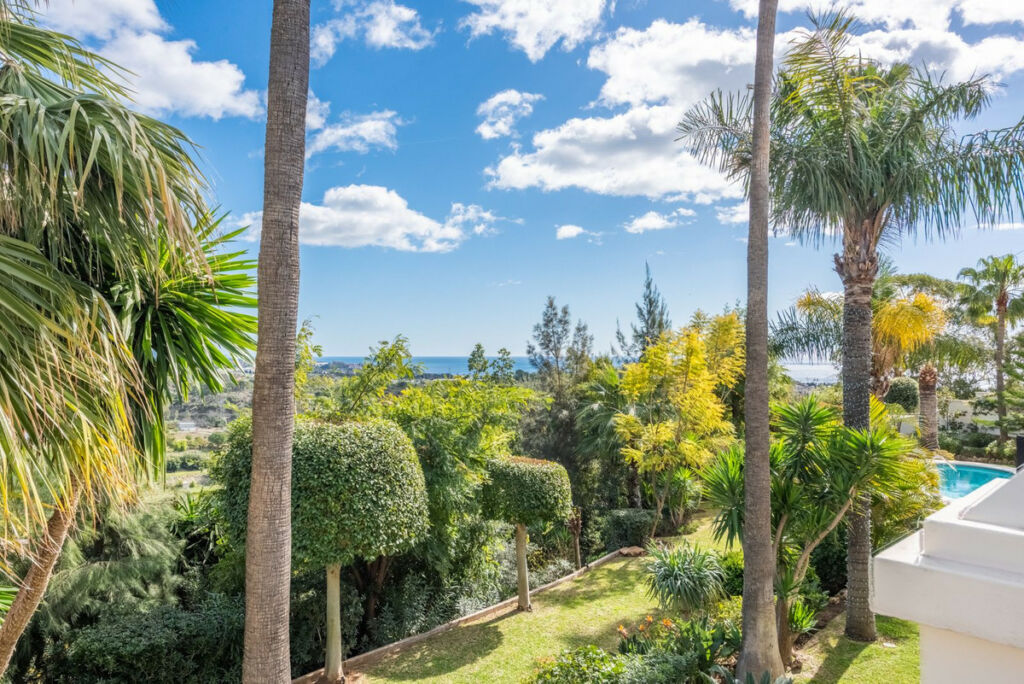 Detached Villa Estepona Málaga - image 25