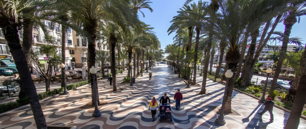 Ground Floor Apartment Torrevieja Alicante - image 27