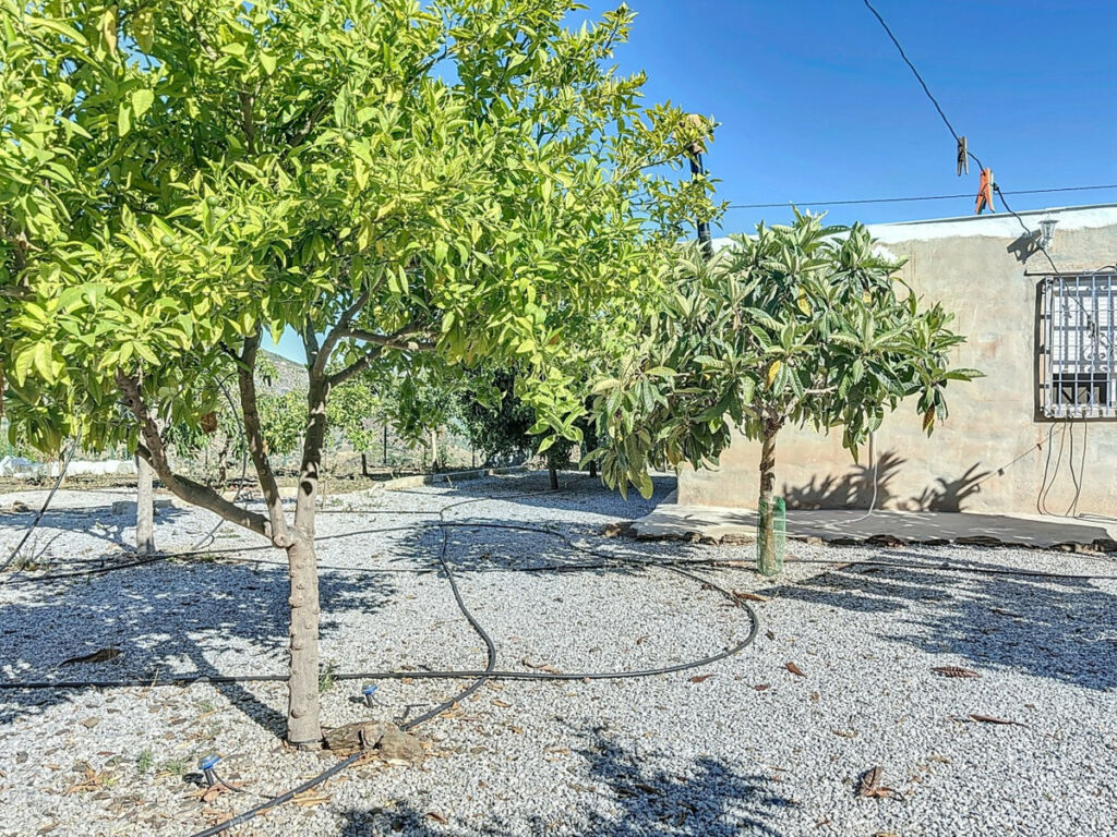 Finca - Cortijo Benamargosa Málaga - image 29
