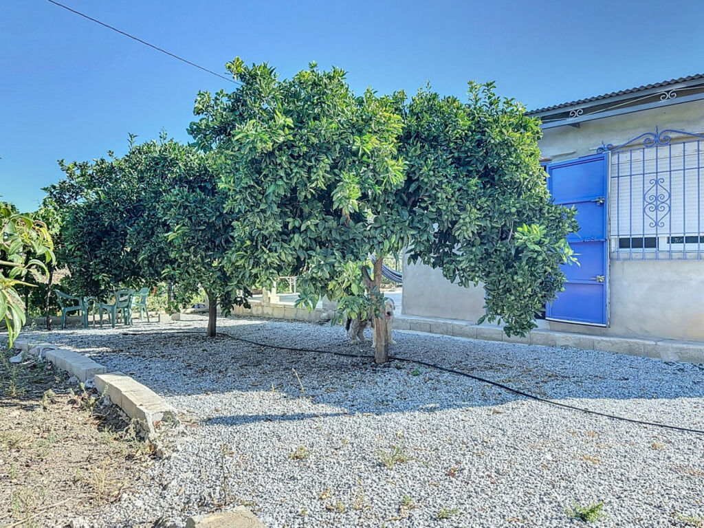 Finca - Cortijo Benamargosa Málaga - image 30