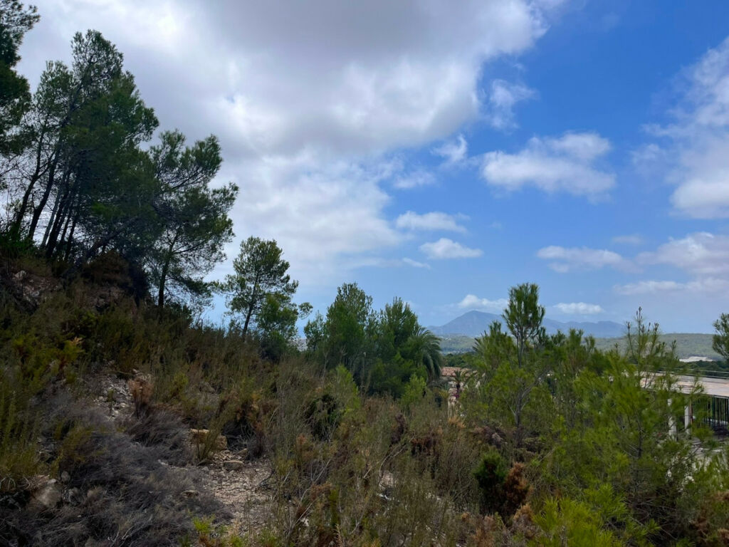 Land Altea Alicante - image 3