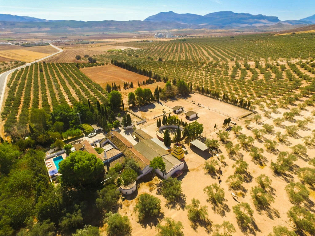 Finca - Cortijo Antequera Málaga - image 3