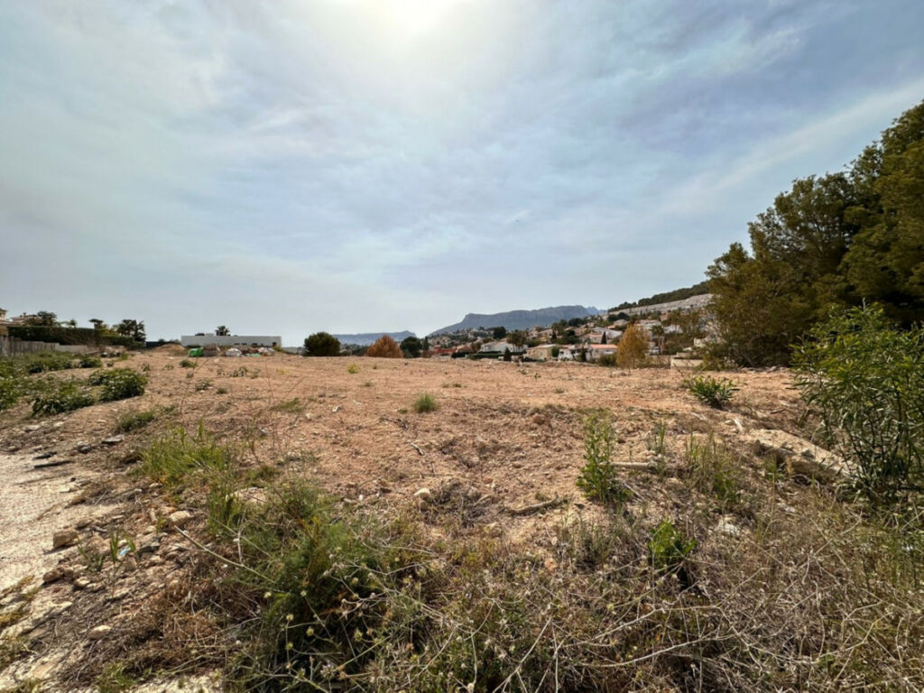Land Calpe Alicante - image 3