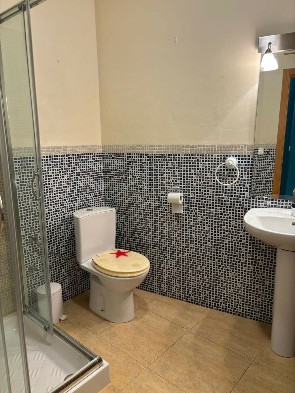 Detached Villa Benalmadena Costa Málaga - image 31