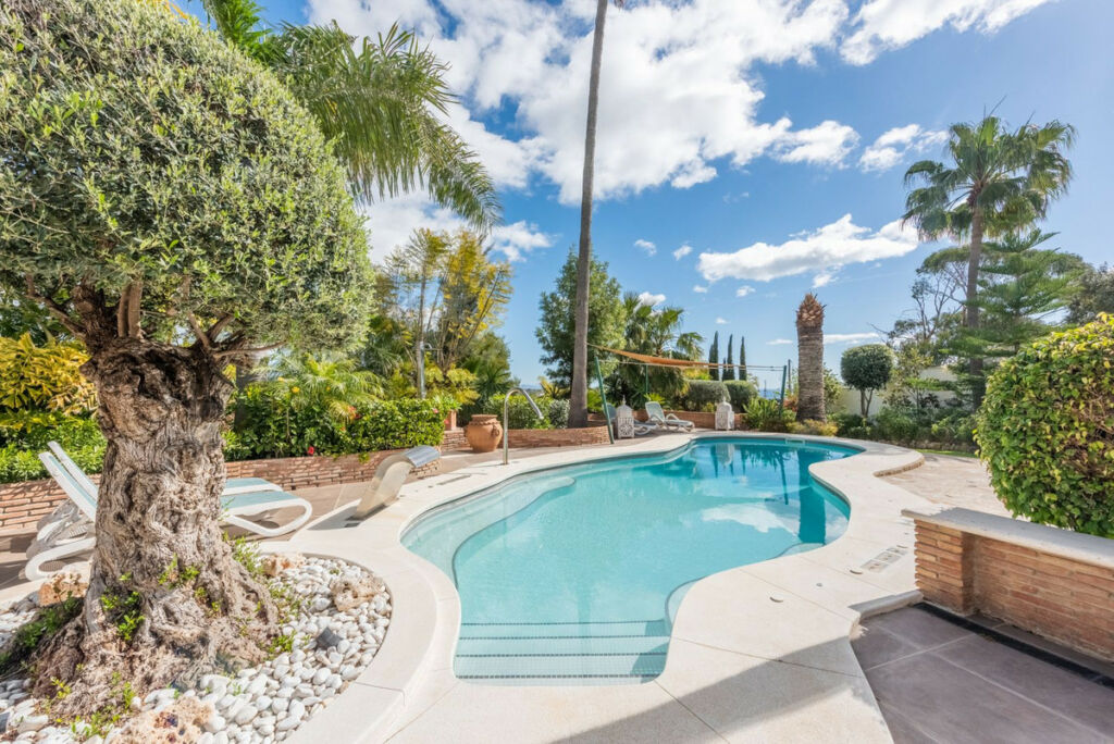 Detached Villa Estepona Málaga - image 32