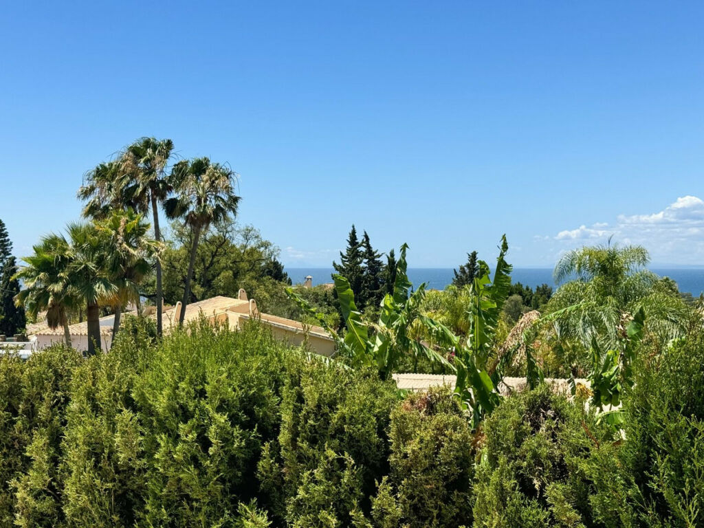 Detached Villa El Rosario Málaga - image 34
