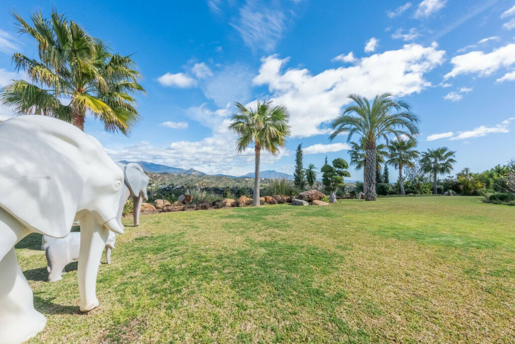 Detached Villa Estepona Málaga - image 35
