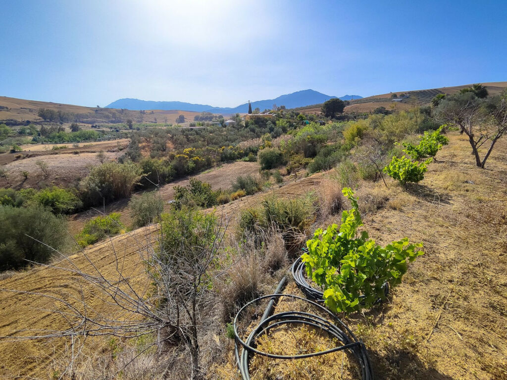 Land Coín Málaga - image 5