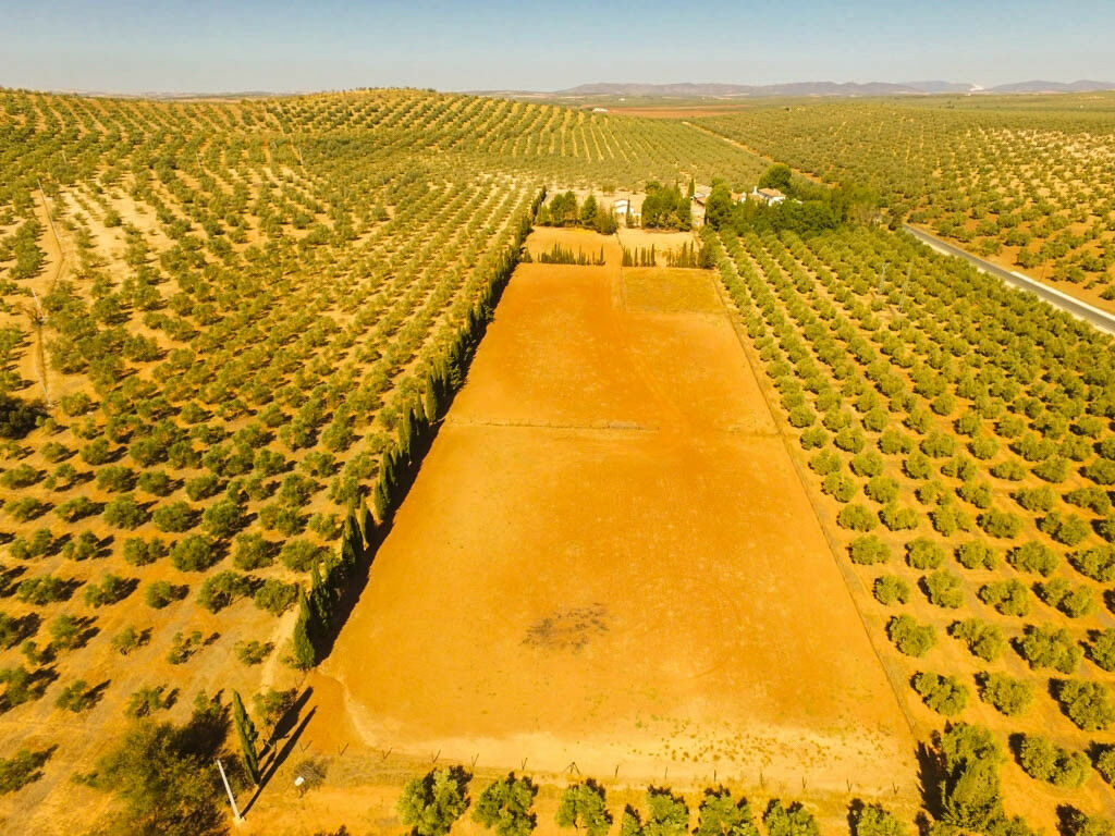 Finca - Cortijo Antequera Málaga - image 4