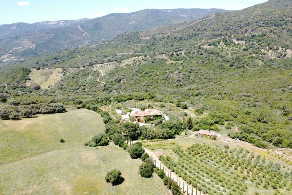 Finca - Cortijo Gaucín Málaga - image 42