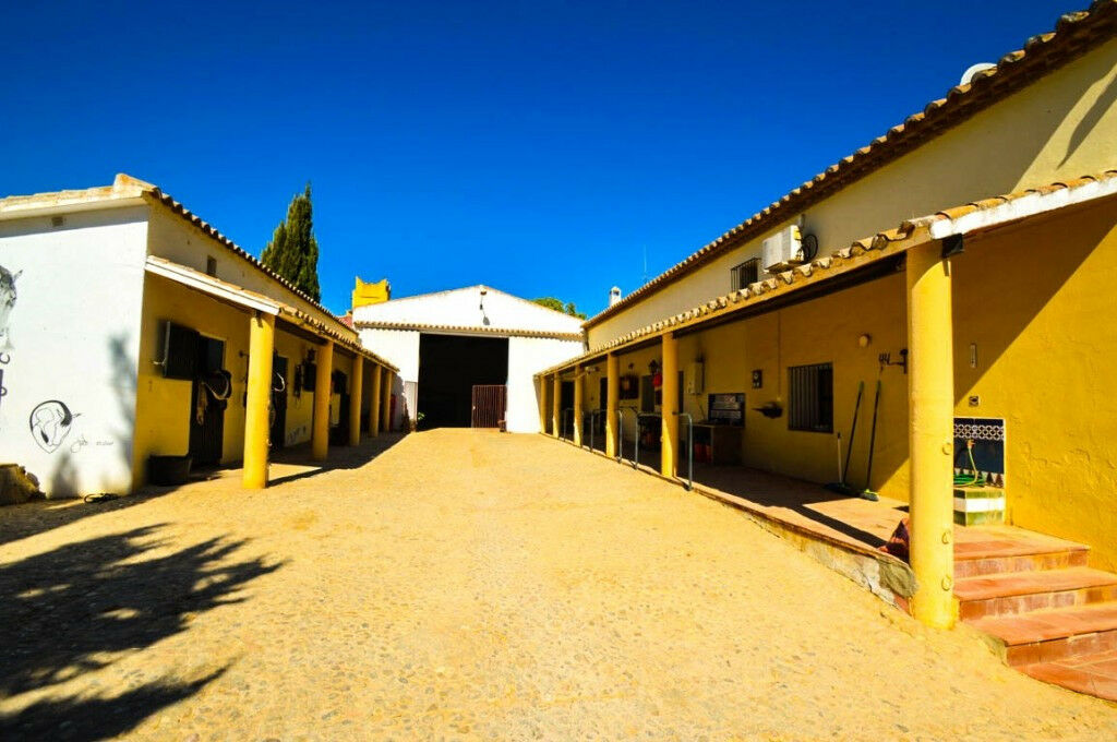 Finca - Cortijo Antequera Málaga - image 44