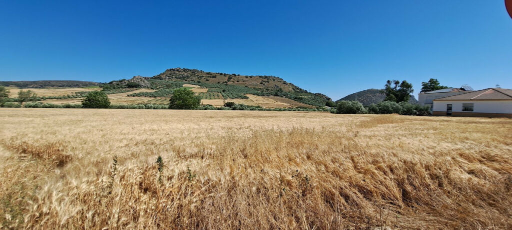 Residential Plot Cuevas del Becerro Málaga - image 8